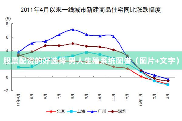 股票配资的好选择 男人生殖系统图谱（图片+文字）