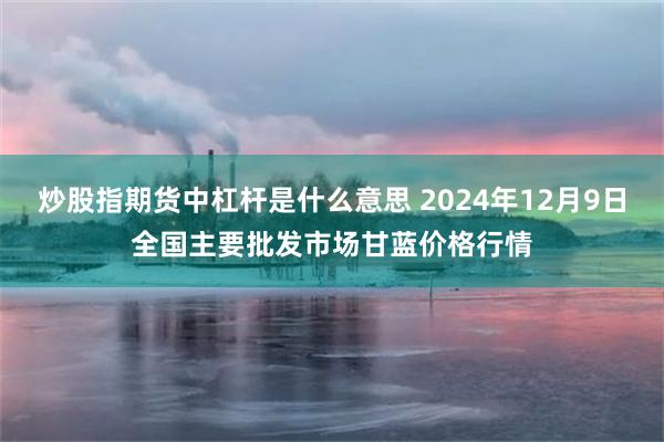 炒股指期货中杠杆是什么意思 2024年12月9日全国主要批发市场甘蓝价格行情