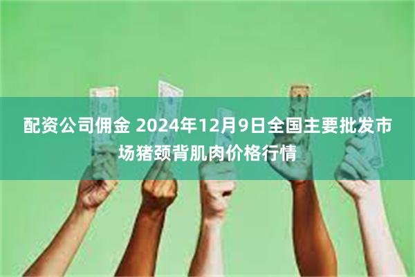 配资公司佣金 2024年12月9日全国主要批发市场猪颈背肌肉价格行情