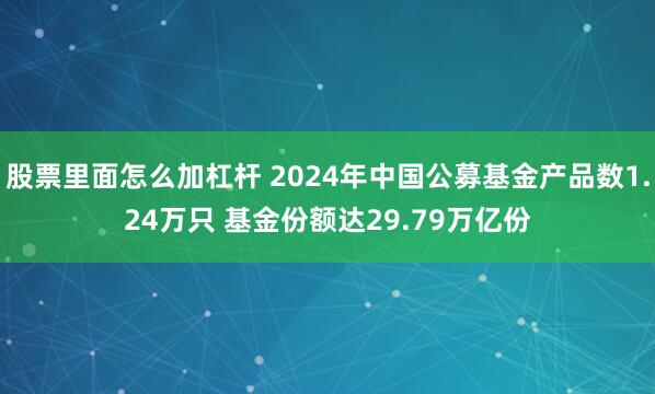 股票里面怎么加杠杆 2024年中国公募基金产品数1.24万只 基金份额达29.79万亿份