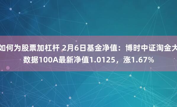 如何为股票加杠杆 2月6日基金净值：博时中证淘金大数据100A最新净值1.0125，涨1.67%