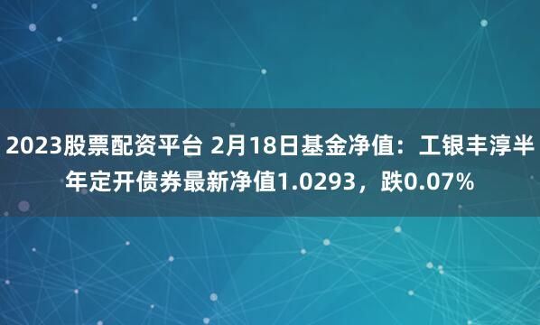 2023股票配资平台 2月18日基金净值：工银丰淳半年定开债券最新净值1.0293，跌0.07%